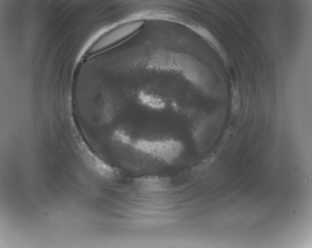 X0000081330896200701181951