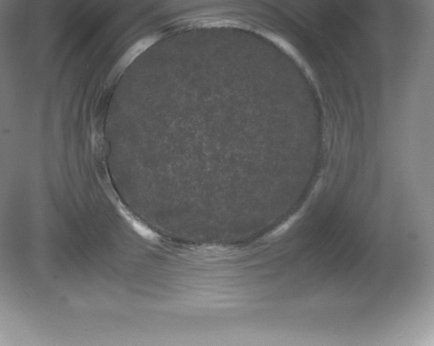 X0000081330897200701181951