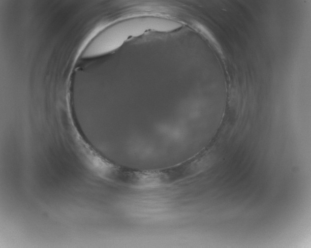 X0000081330899200701181951