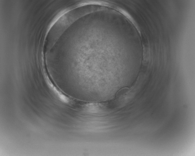 X0000081330906200701181951