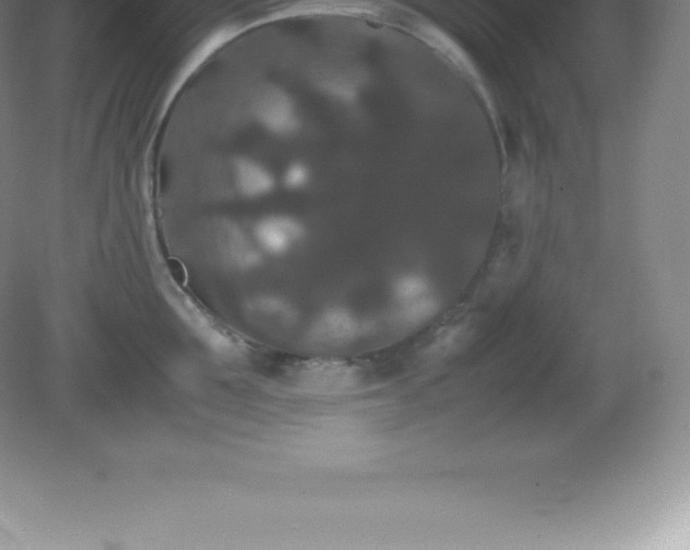 X0000081330907200701181951