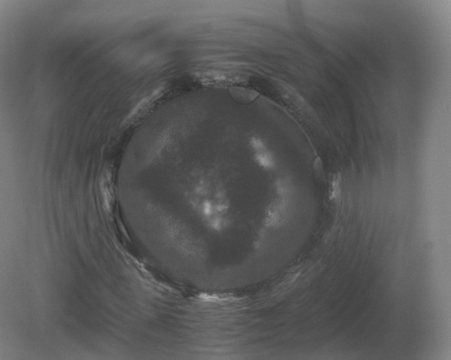 X0000081330915200701181950