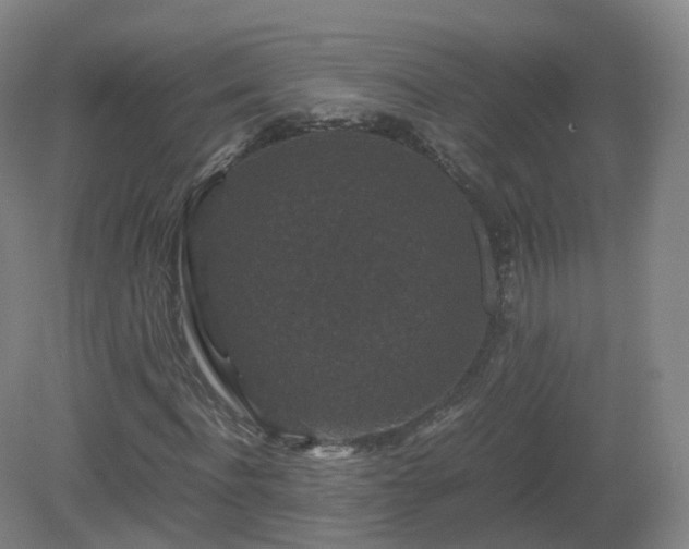 X0000081330916200701181950