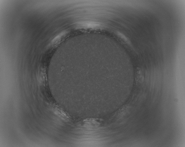 X0000081330918200701181950