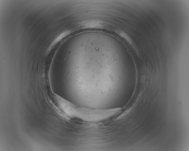 X0000081330922200701181950