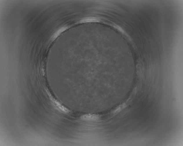 X0000081330929200701181950