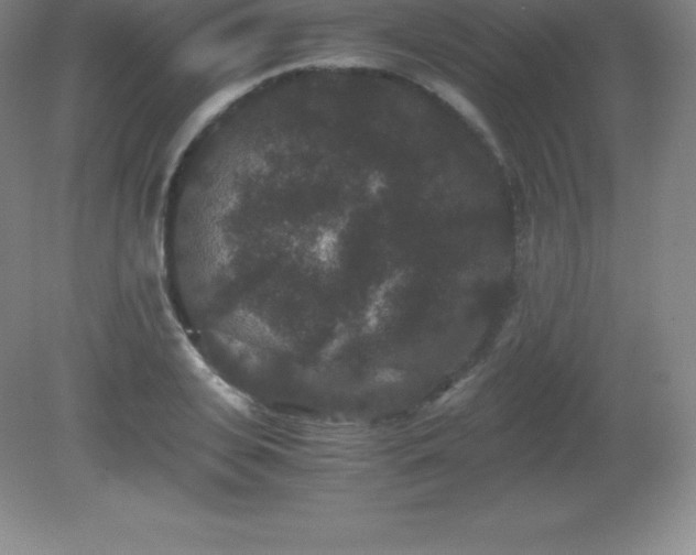 X0000081330935200701181950