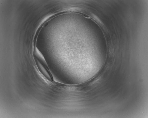 X0000081330940200701181951
