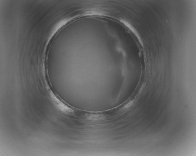 X0000081330941200701181951