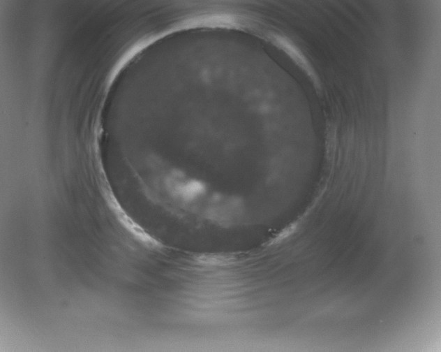 X0000081330944200701181951