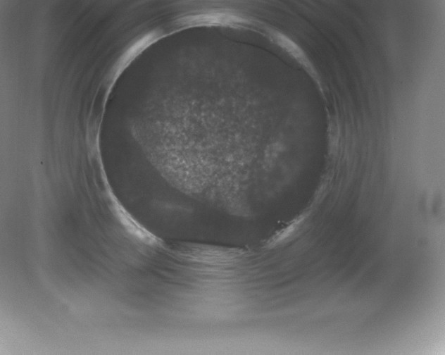 X0000081330946200701181951