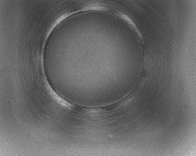 X0000081330947200701181951