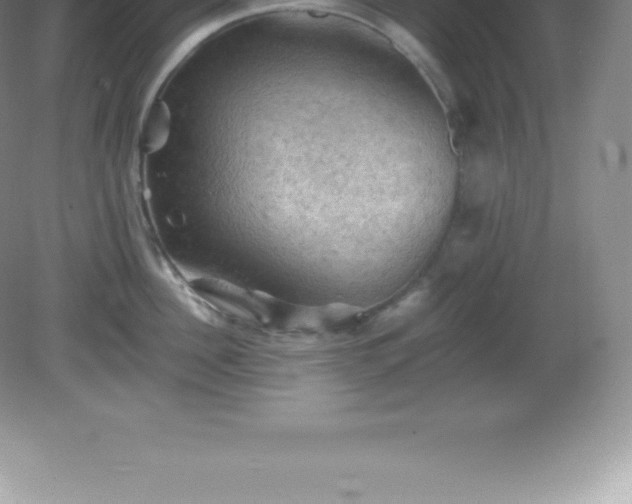 X0000081330956200701181951