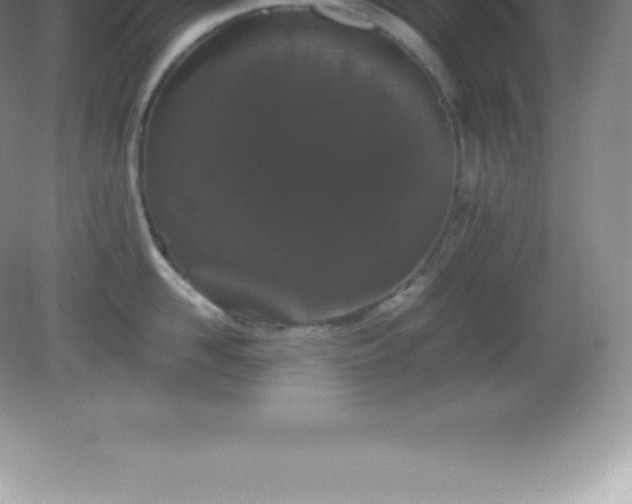X0000081330958200701181951