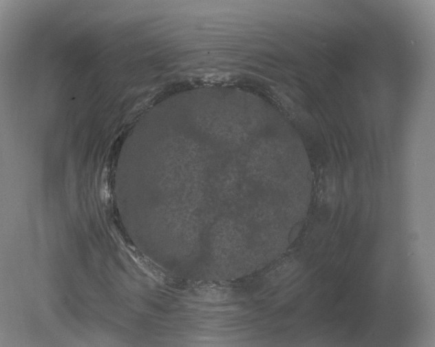 X0000081330962200701181950