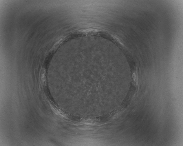 X0000081330963200701181950