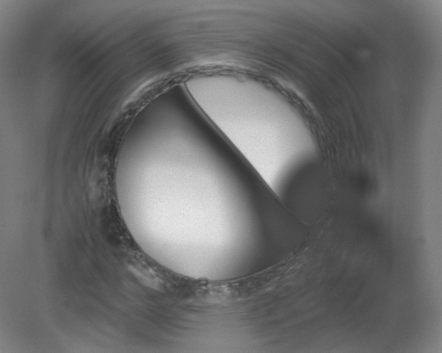 X0000081330968200701181950