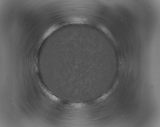 X0000081330970200701181950