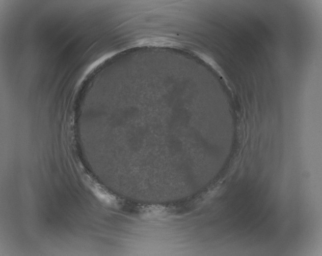 X0000081330971200701181950