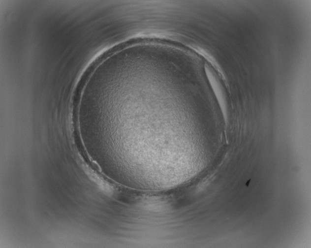 X0000081330976200701181950