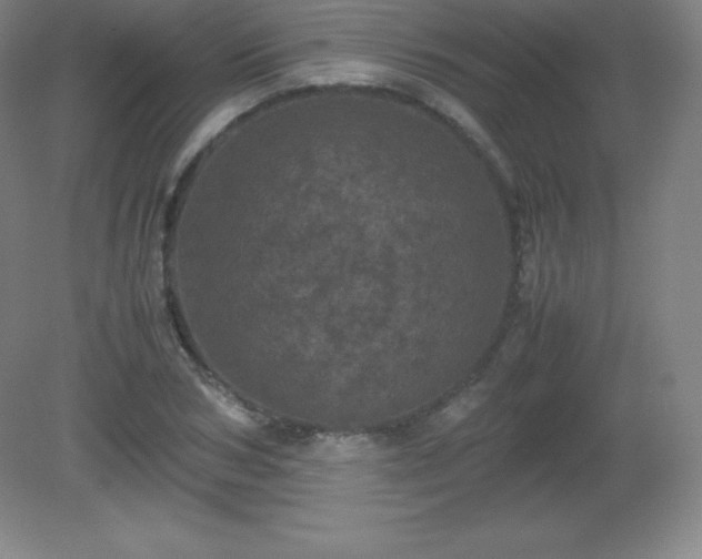 X0000081330978200701181950
