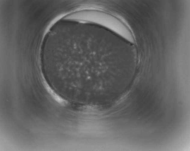 X0000081330995200701181950