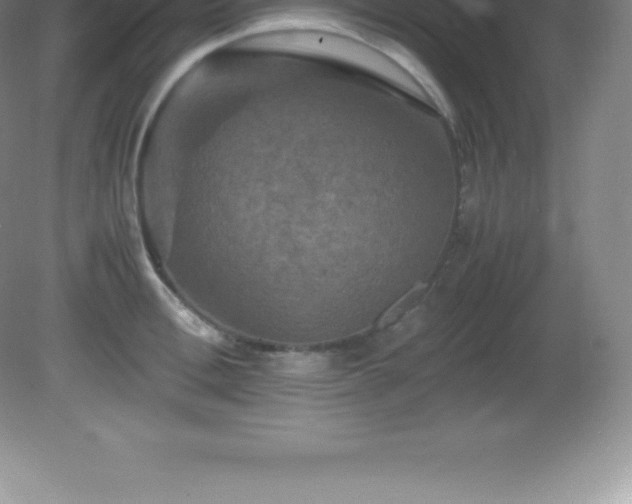 X0000081330996200701181949