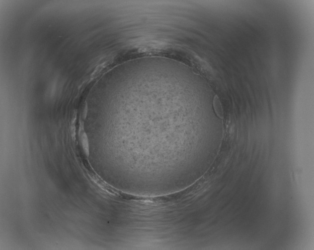 X0000081331012200701181949