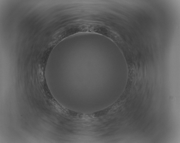 X0000081331013200701181949