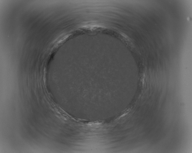 X0000081331014200701181949