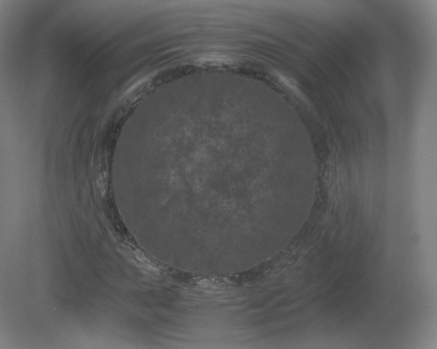 X0000081331015200701181949