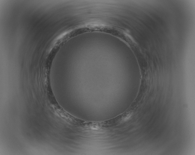 X0000081331016200701181949