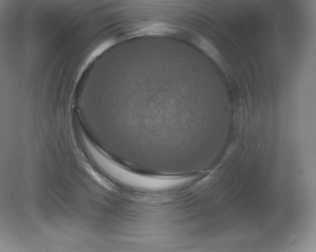 X0000081331026200701181949