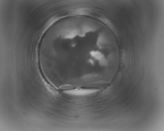 X0000081331031200701181949