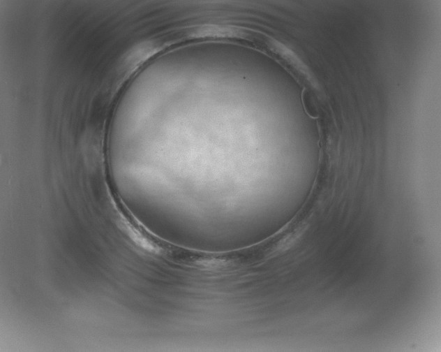 X0000081331033200701181949