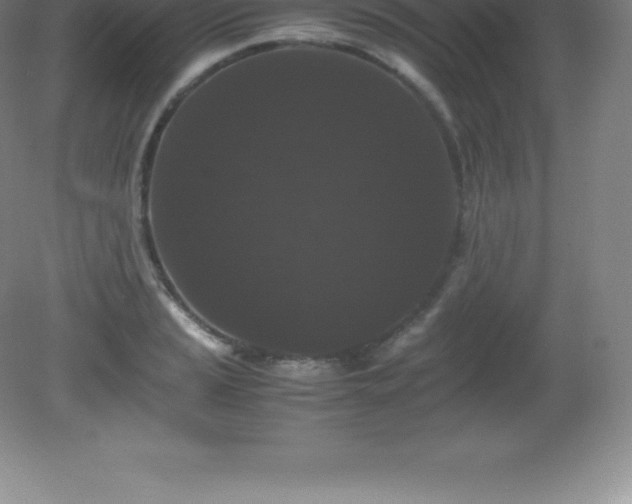 X0000081331037200701181949