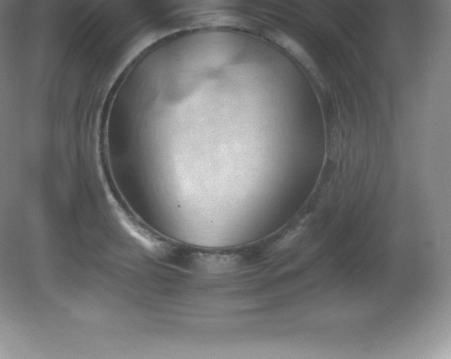 X0000081331039200701181949
