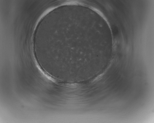 X0000081331045200701181949