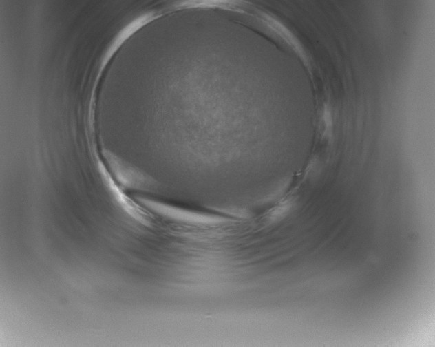 X0000081331050200701181949
