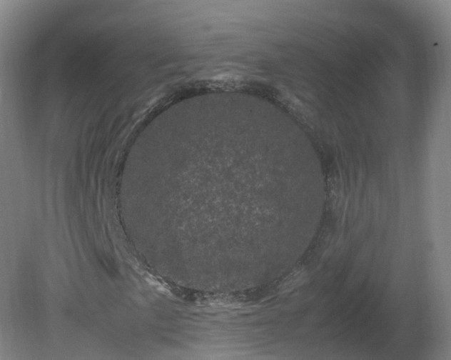 X0000081331057200701181948