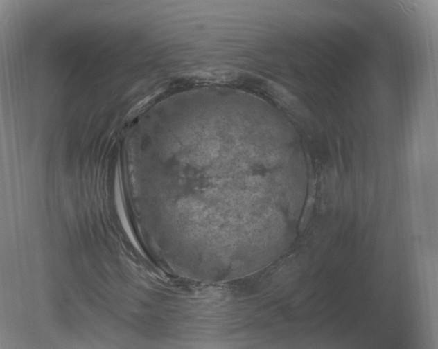 X0000081331058200701181948