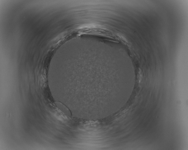 X0000081331062200701181948