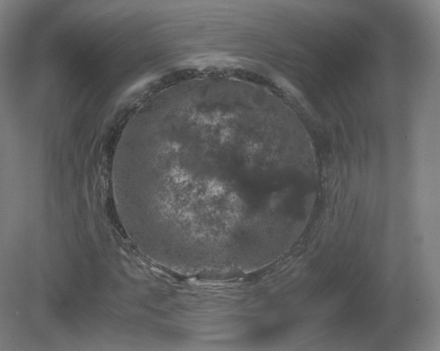 X0000081331063200701181948