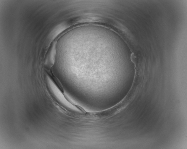 X0000081331073200701181948