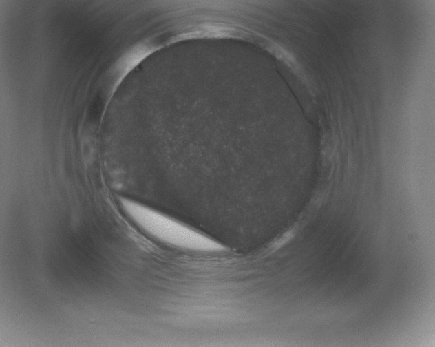 X0000081331081200701181948