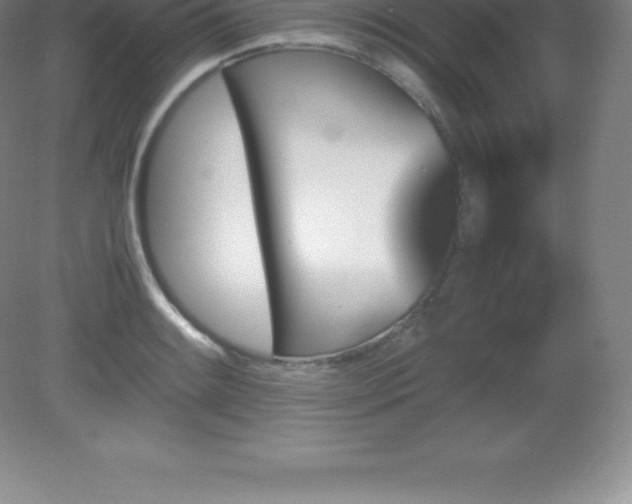 X0000081331084200701181948