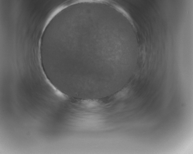 X0000081331103200701181948