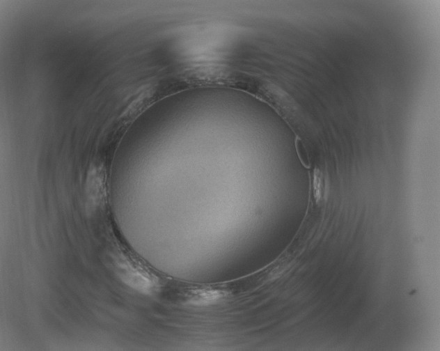 X0000081331107200701181947