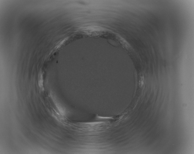 X0000081331108200701181947