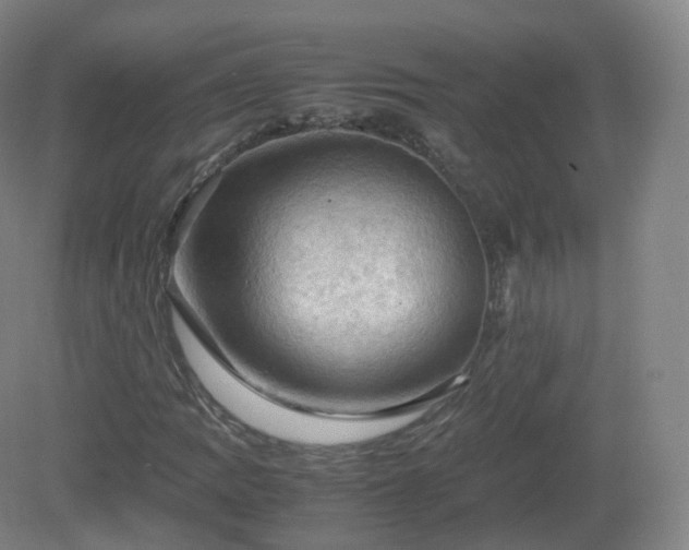 X0000081331109200701181947